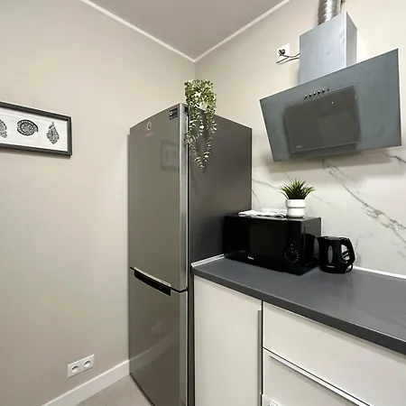 Mmrent Frog * Гданьск