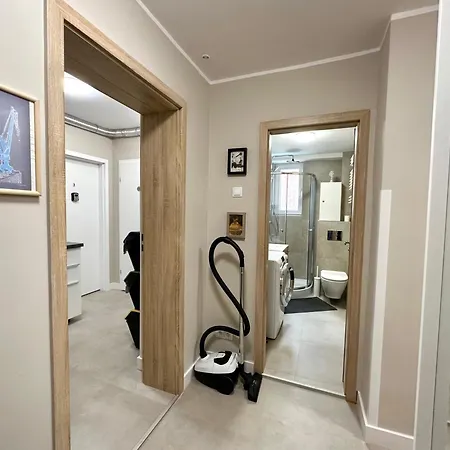 Mmrent Frog * Гданьск